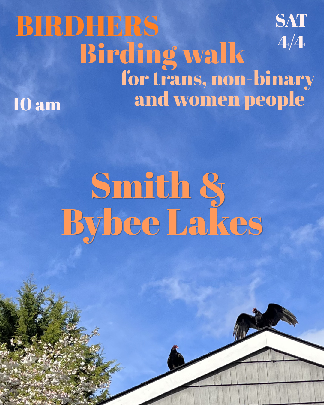 Birding walk 
