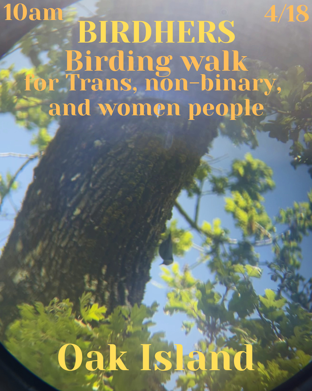 Birding walk 