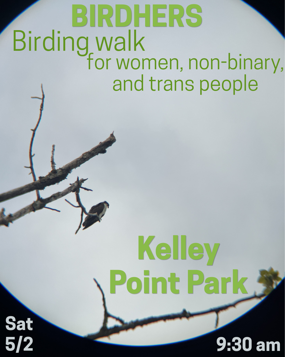 Birding walk 