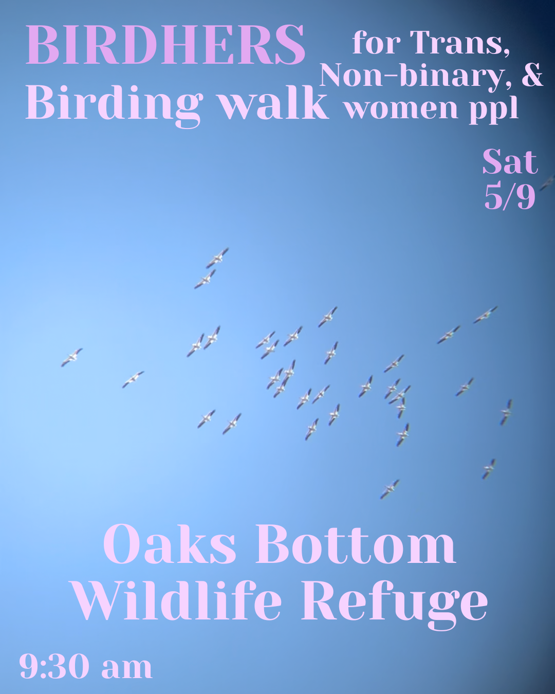 Birding walk 