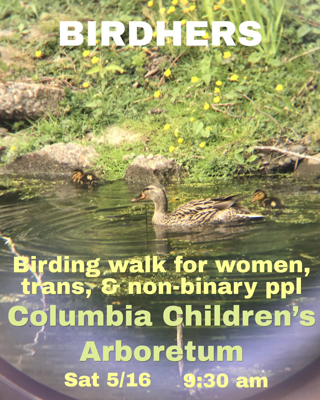 Birding walk 