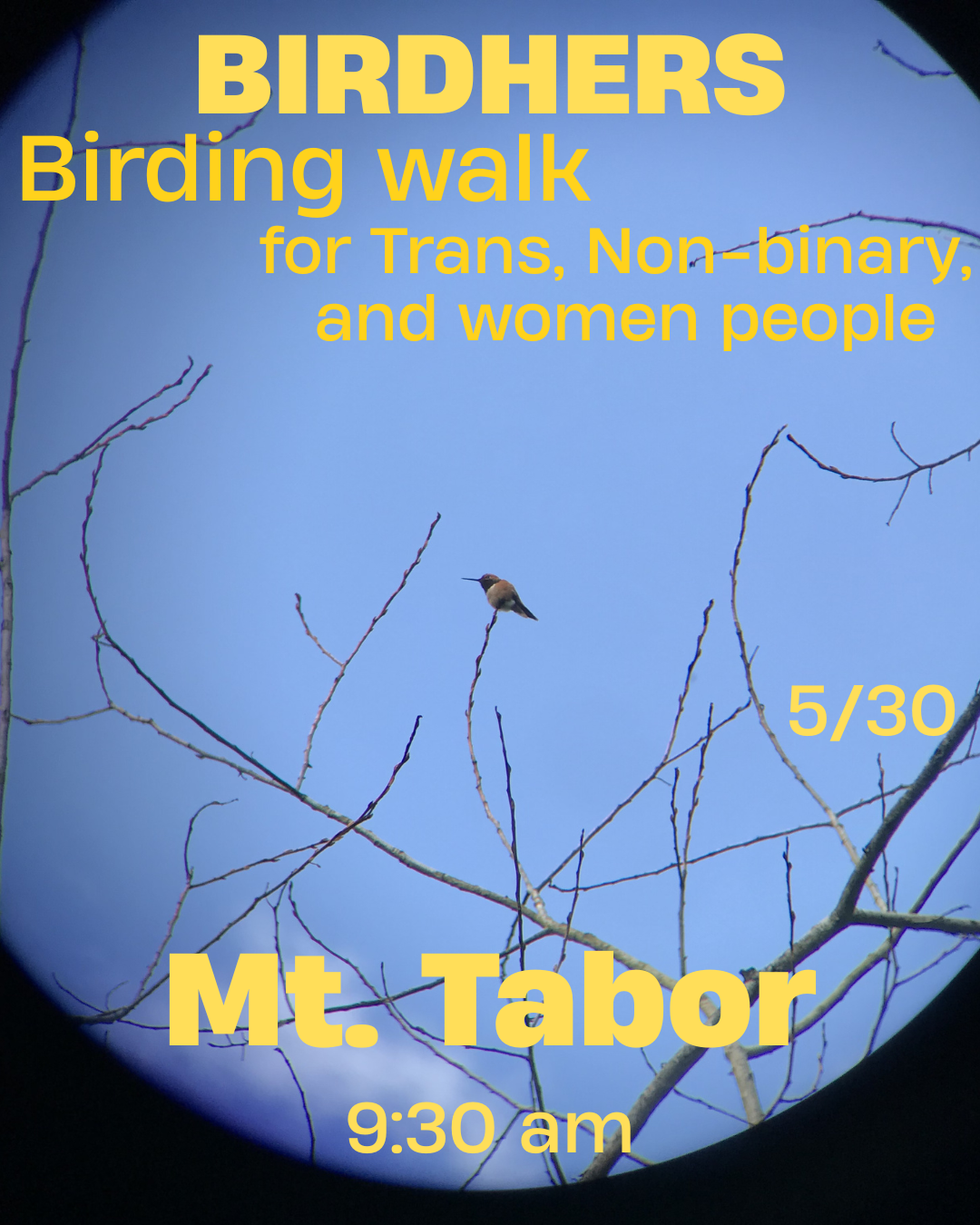 Birding walk 