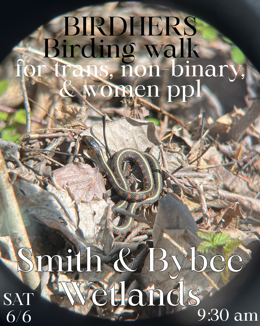 Birding walk