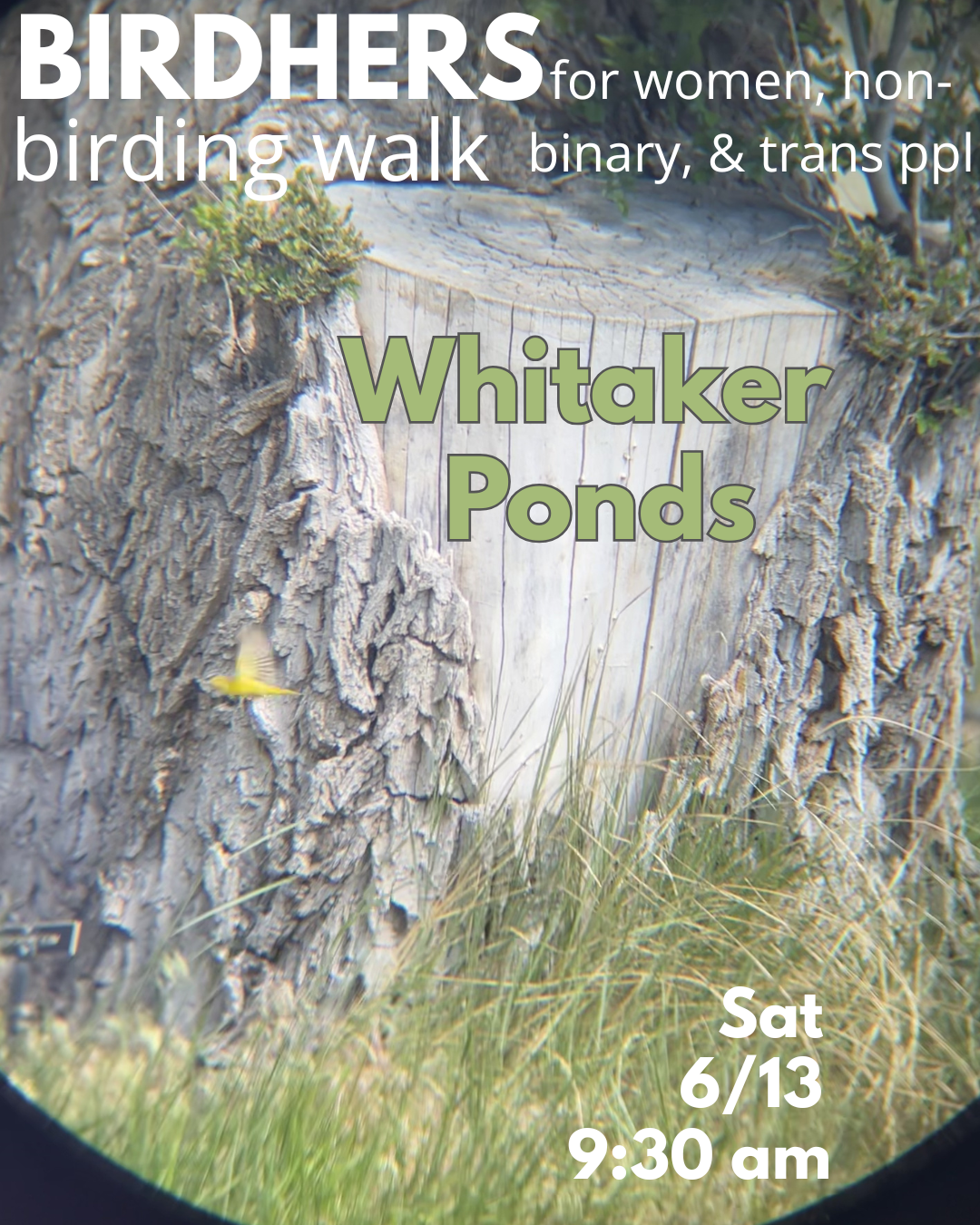Birding walk 