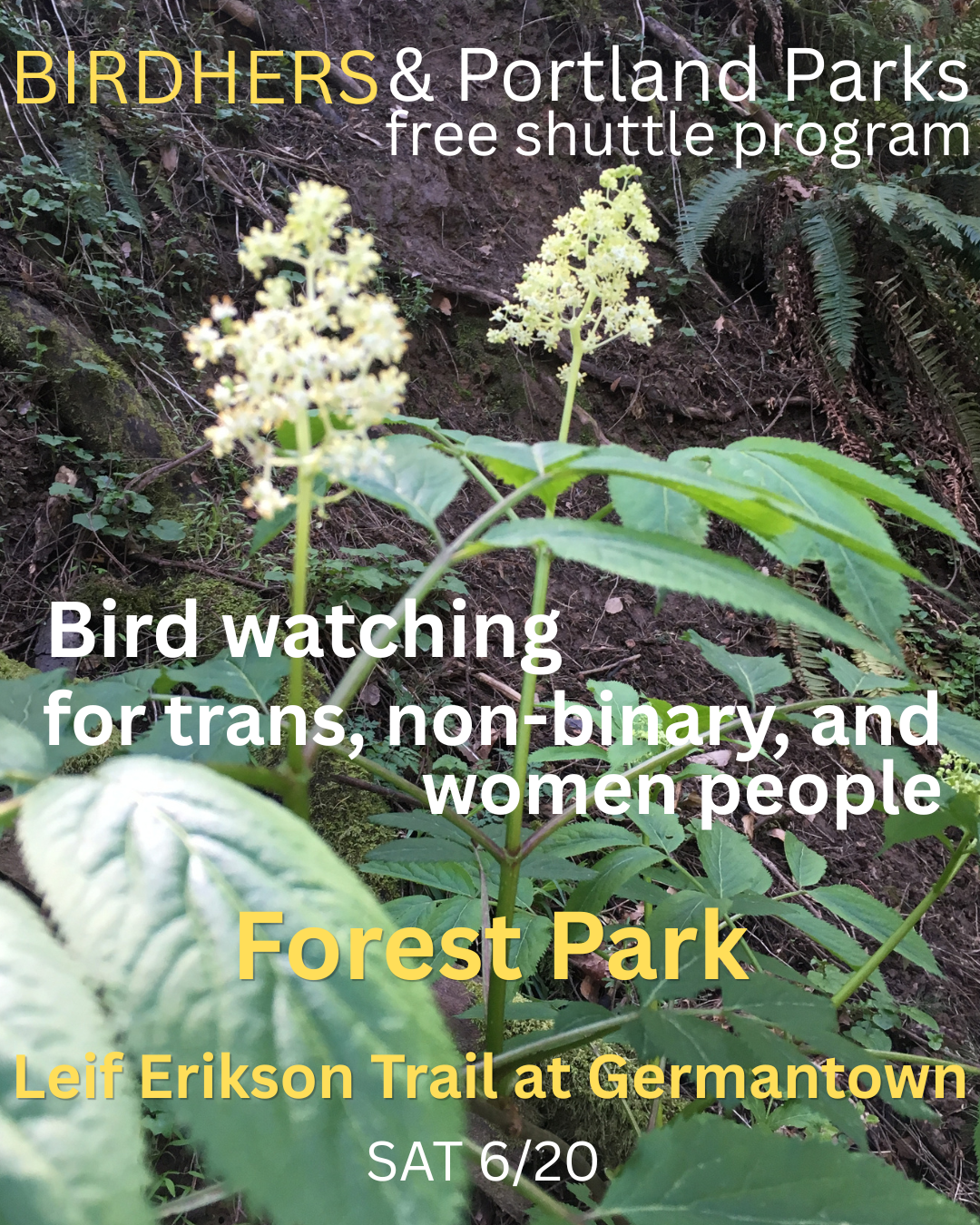 Birding walk 