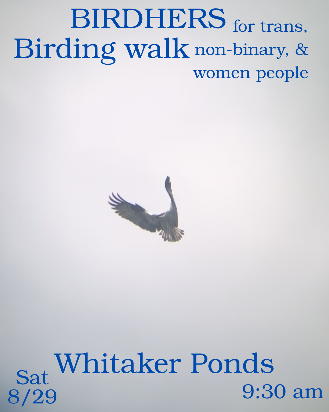 Birding walk
