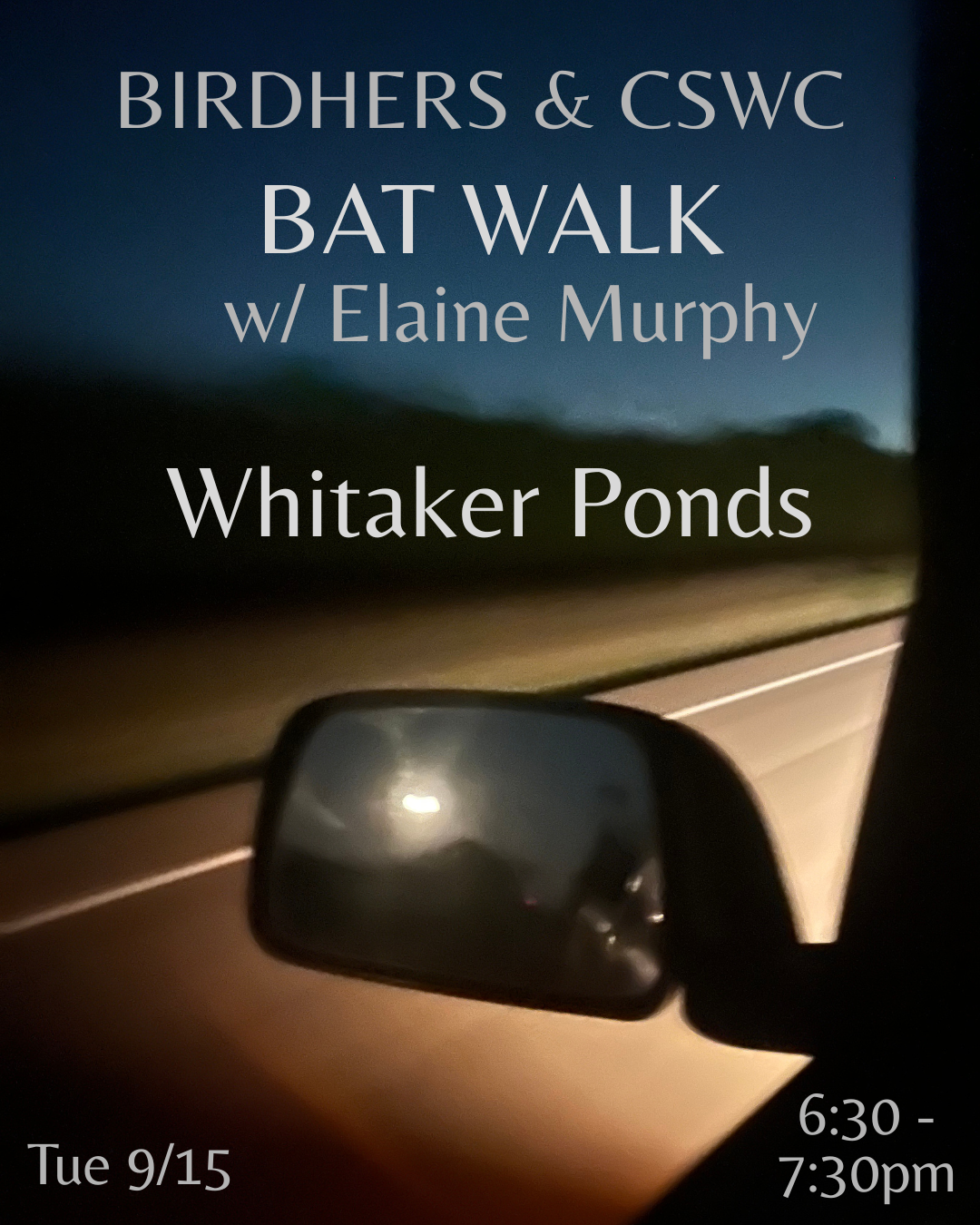 Bat Walk with CSWC