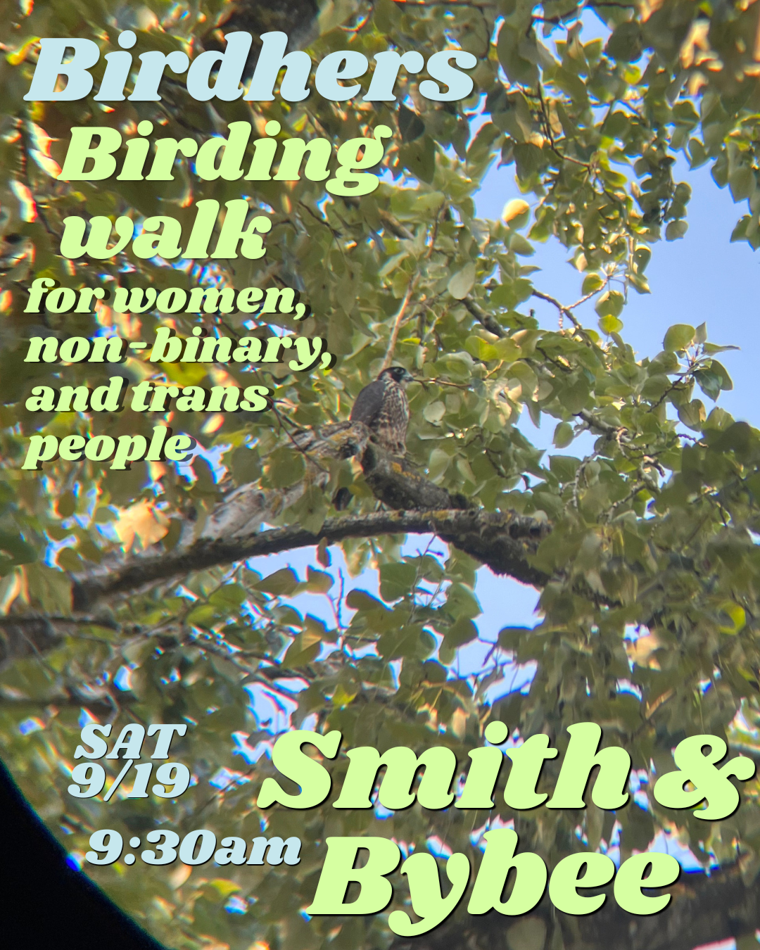 Birding walk 