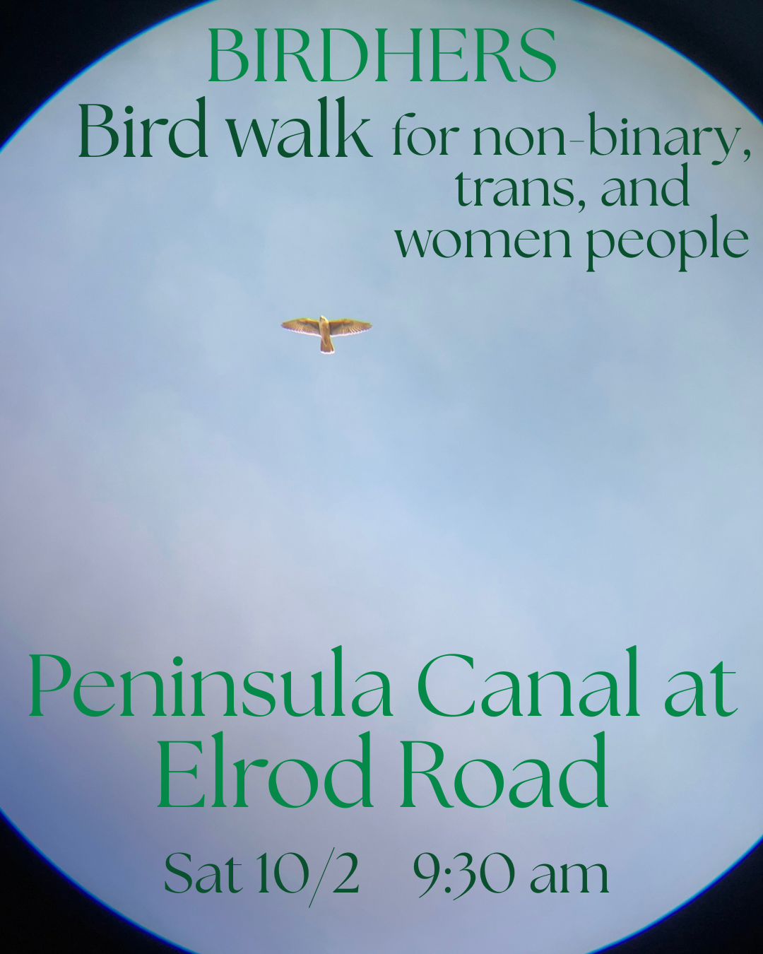 Birding walk 