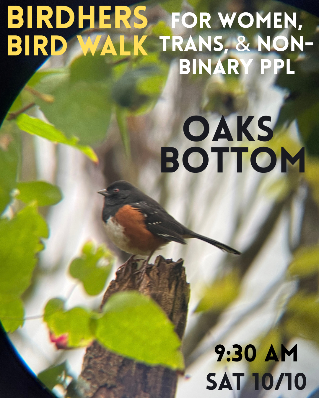 Birding walk 