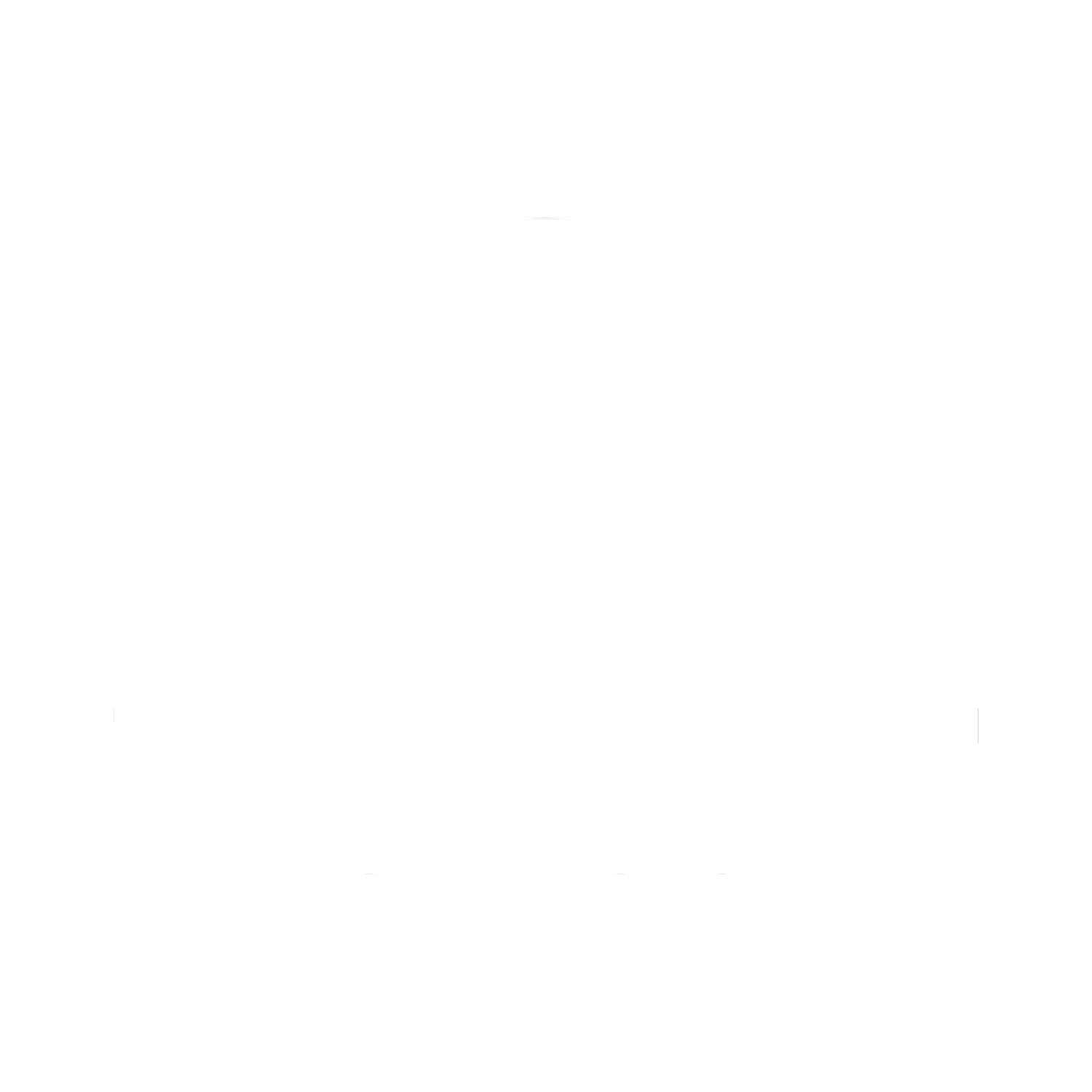 Van Bracht Services