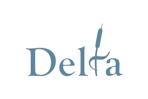 243-2434403_cityofdelta-logo-city-of-delta-logo-removebg-preview.jpg