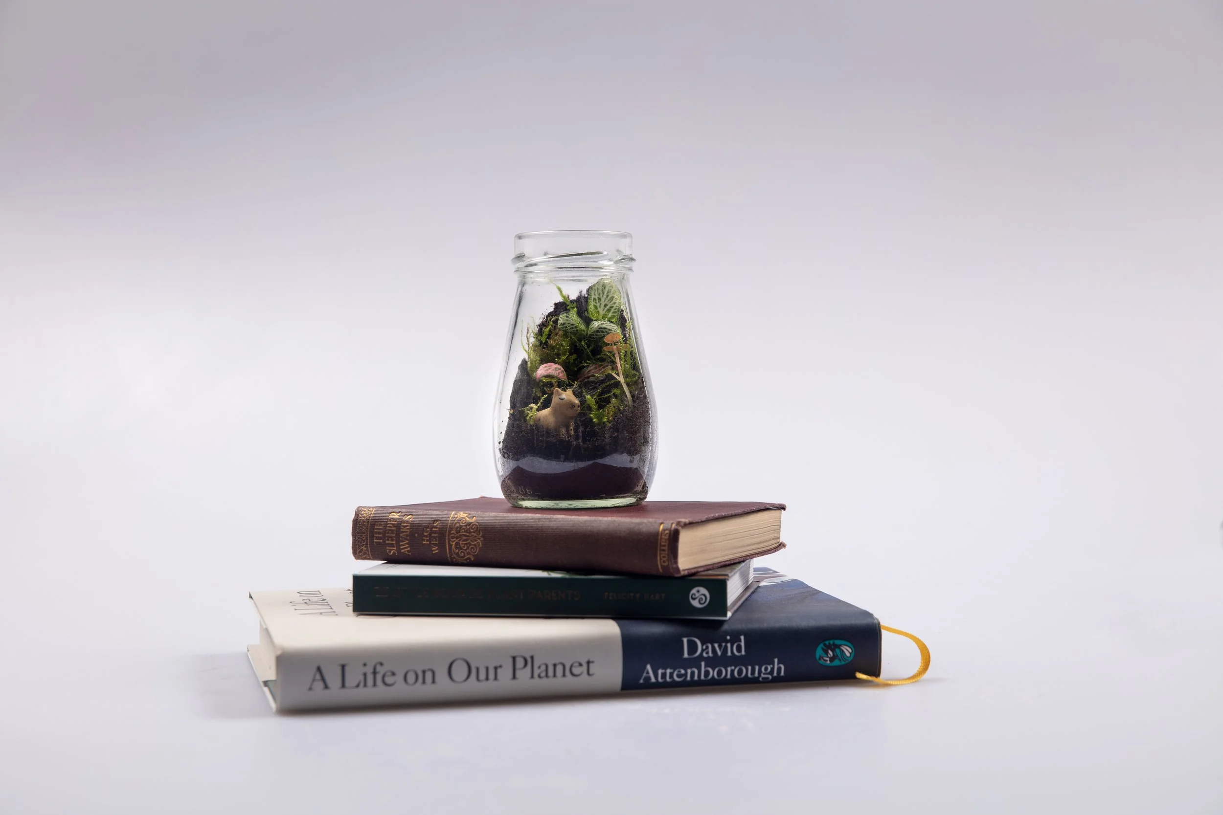 elle 28th pm2599.jpg