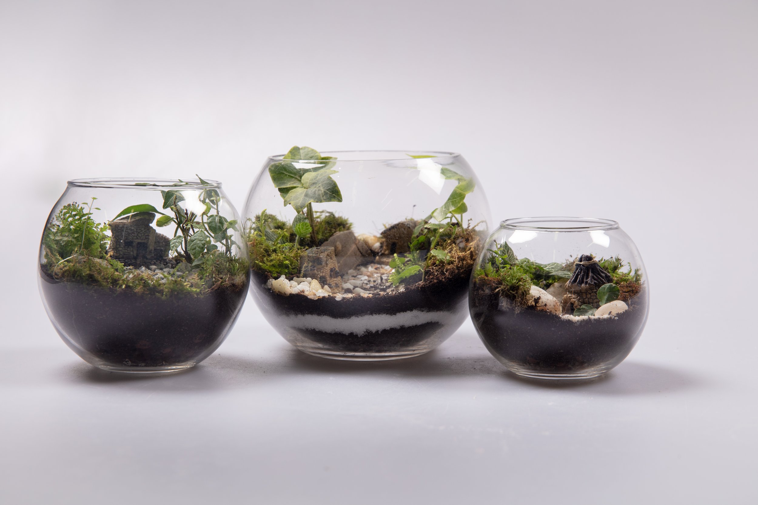 elle 28th pm2632.jpg