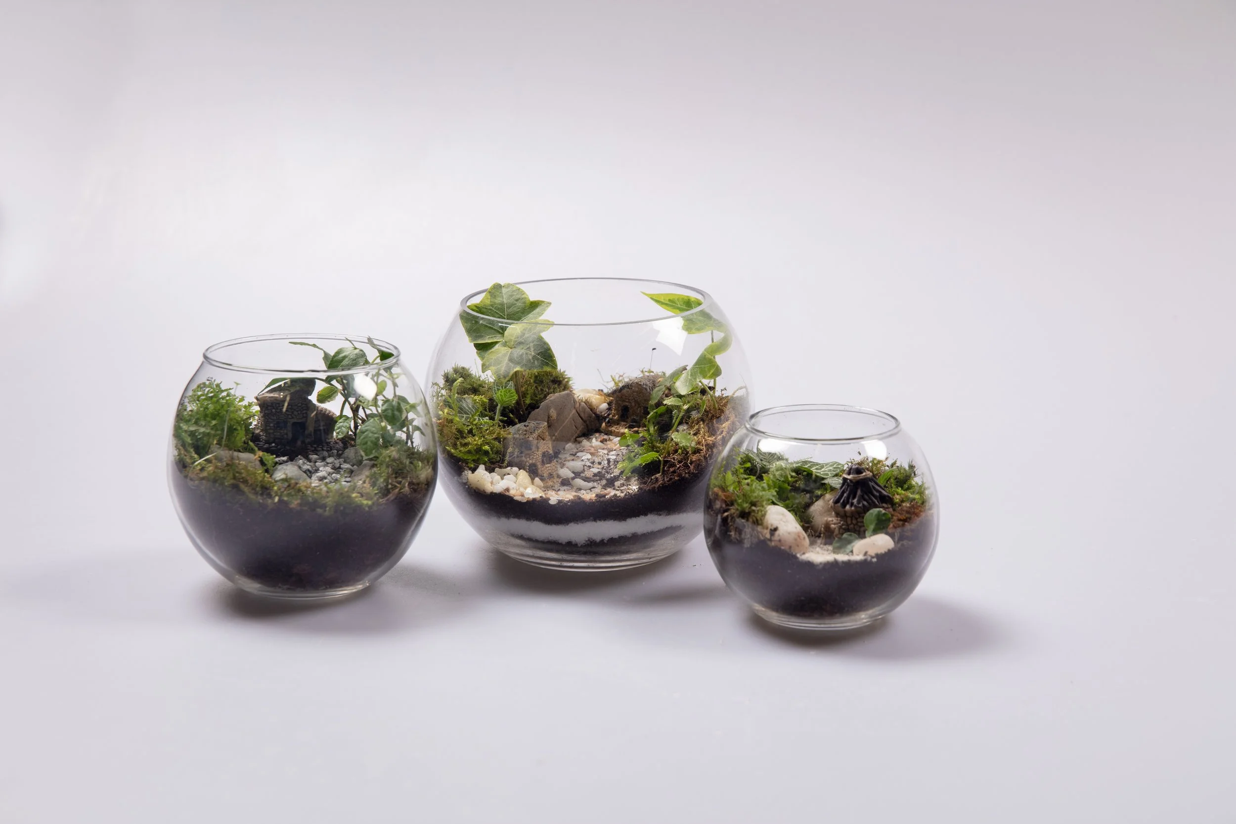 elle 28th pm2626.jpg