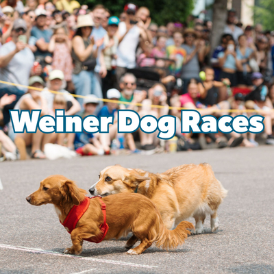 Weiner Dog Races