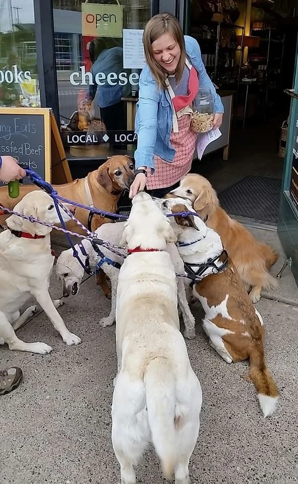 dog3.jpg