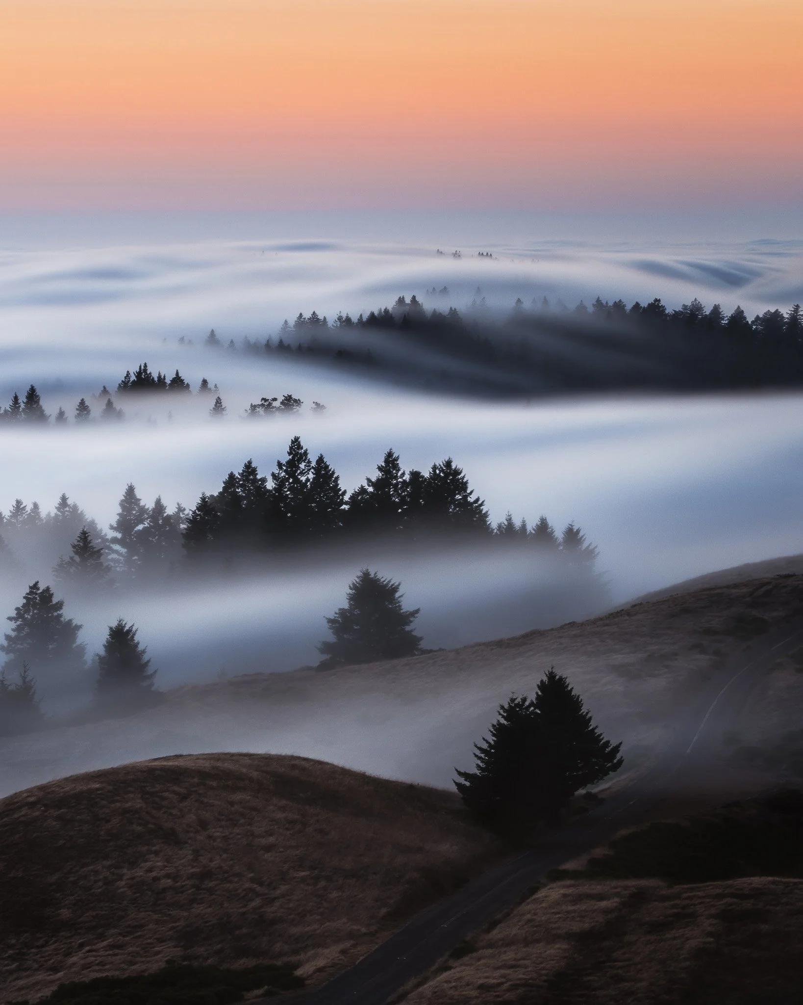 Tam Ridgecrest-8.jpg