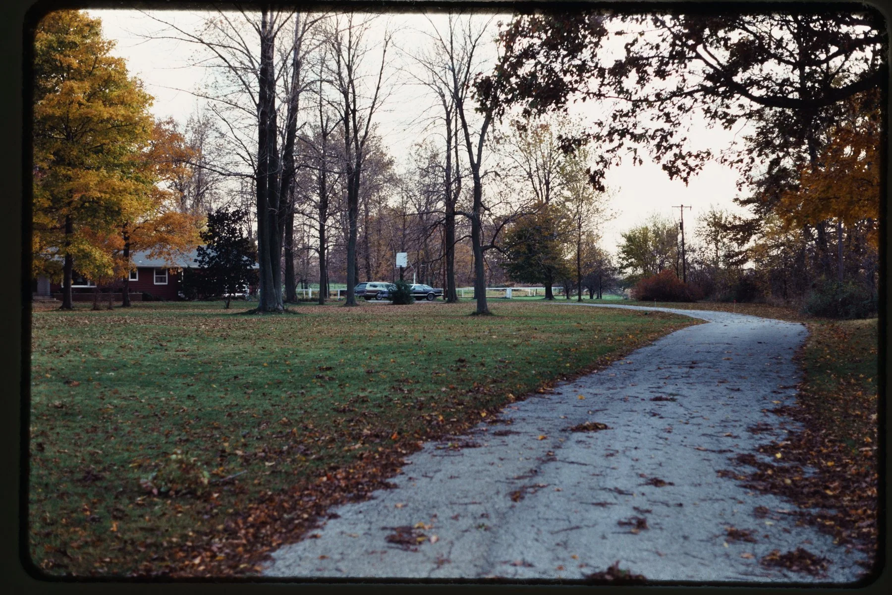 Kodachrome