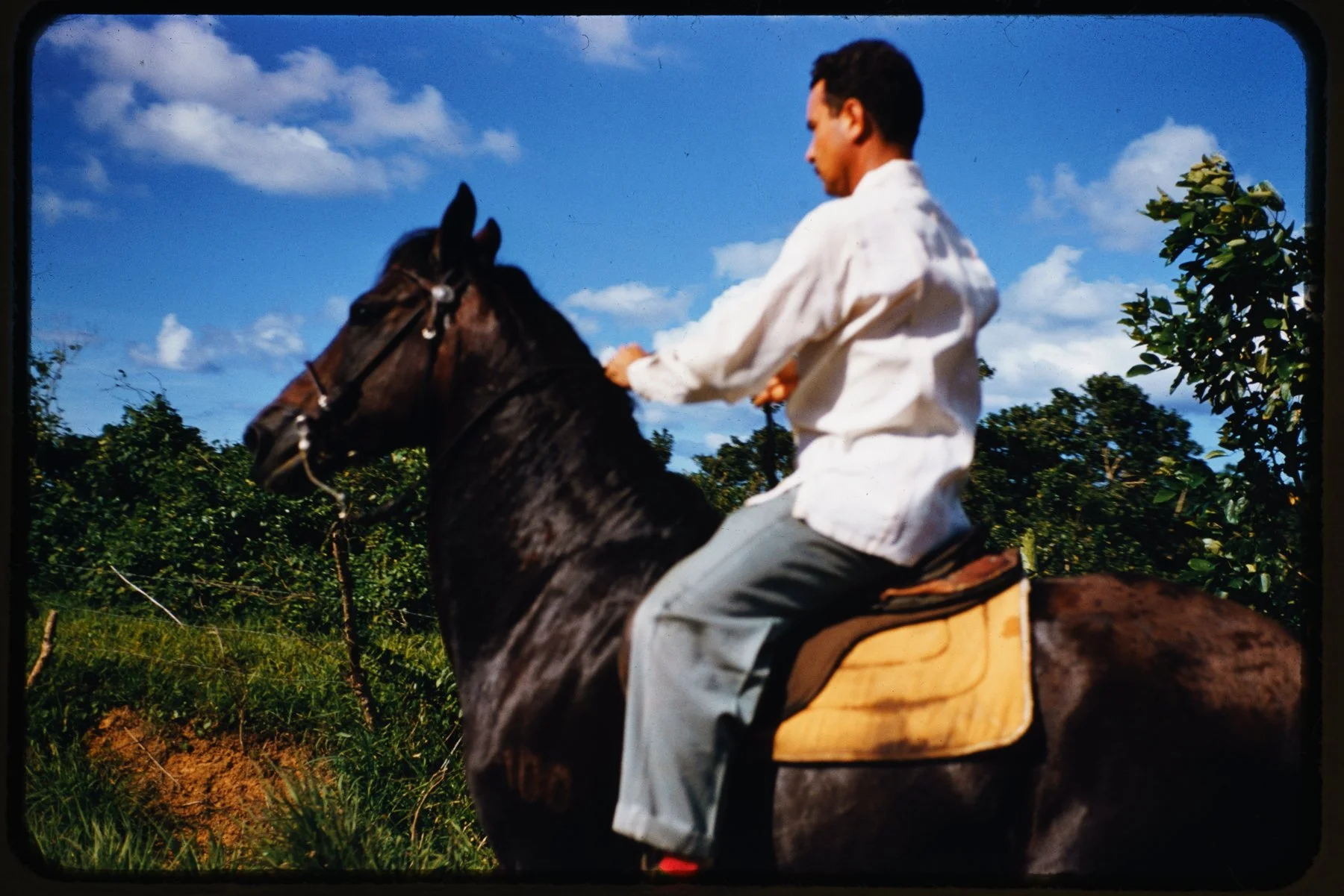 Kodachrome
