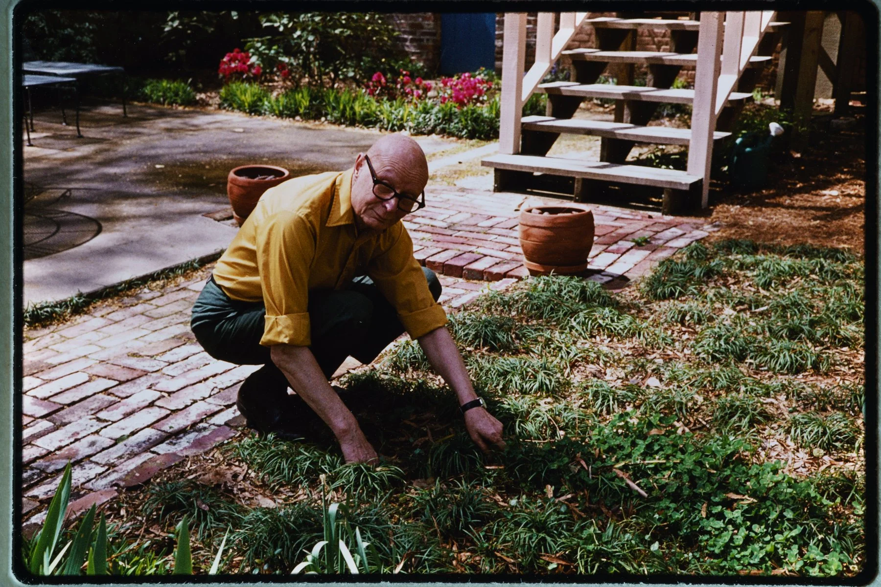 Kodachrome