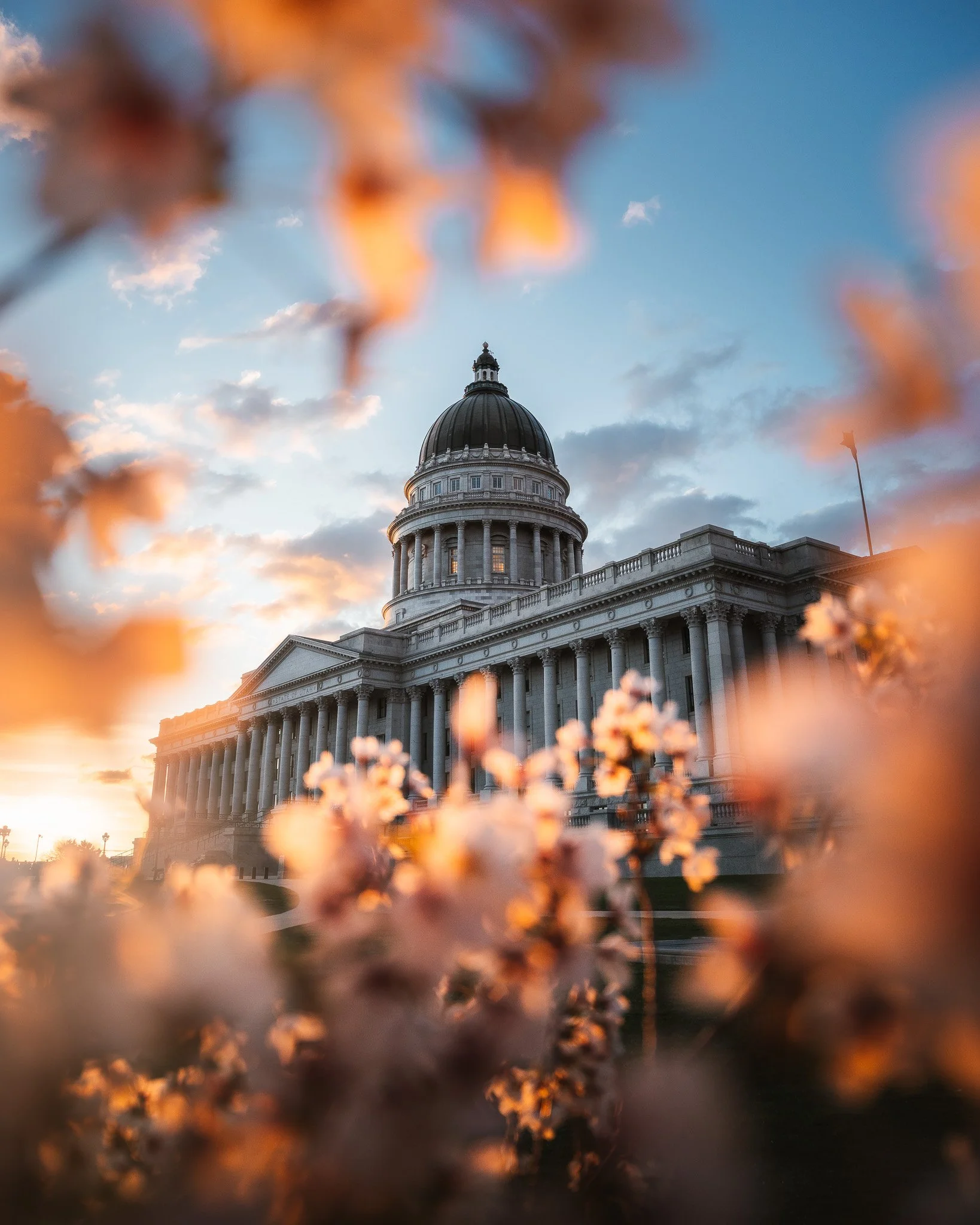Capital Building-Spring-1.jpg