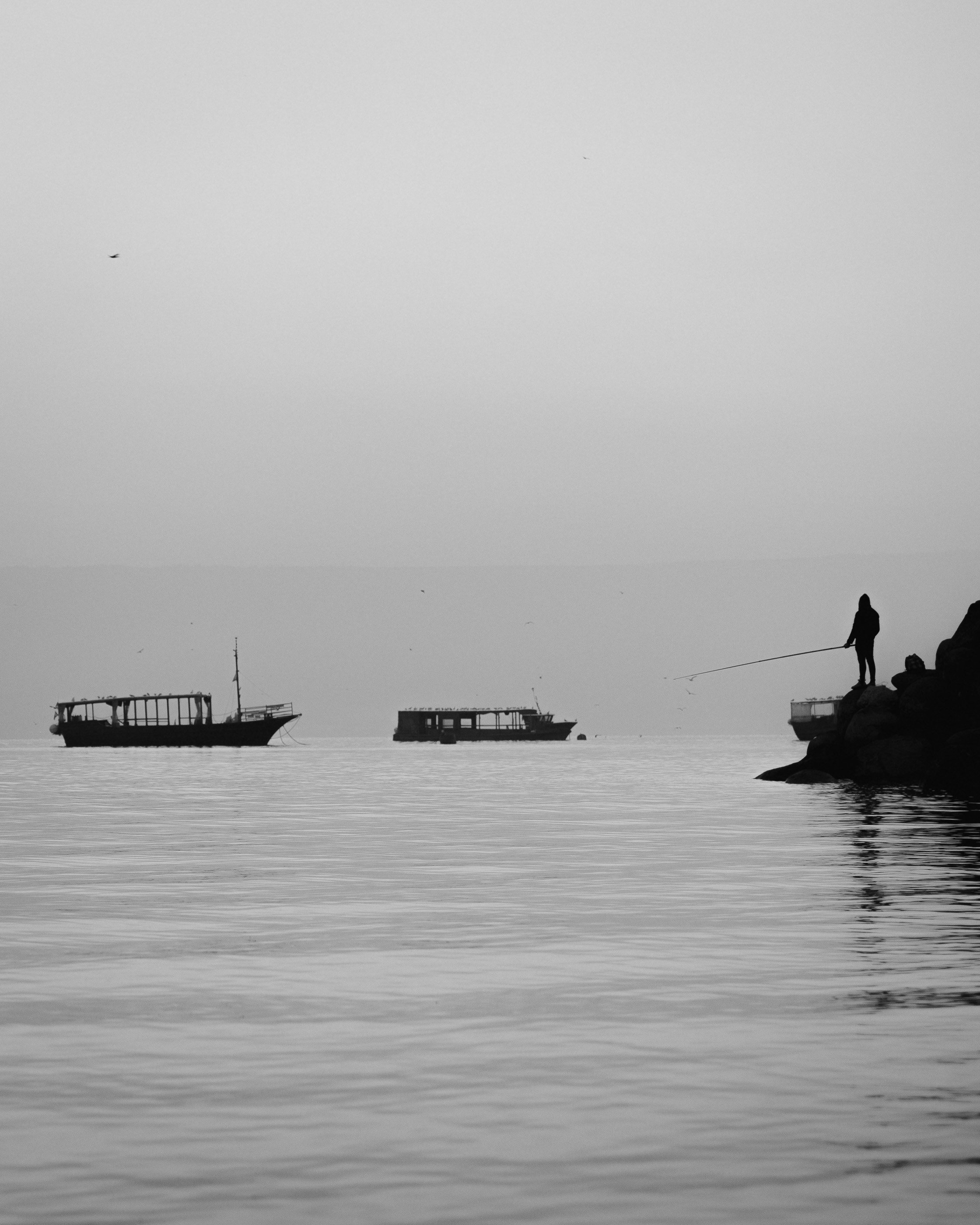 vpgfp4-gallery-01.jpg