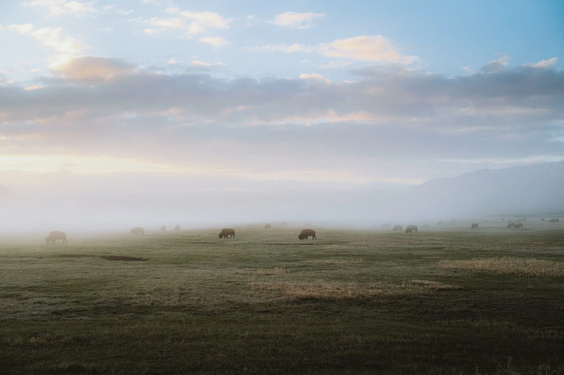 atmosphere-teton-03.jpg