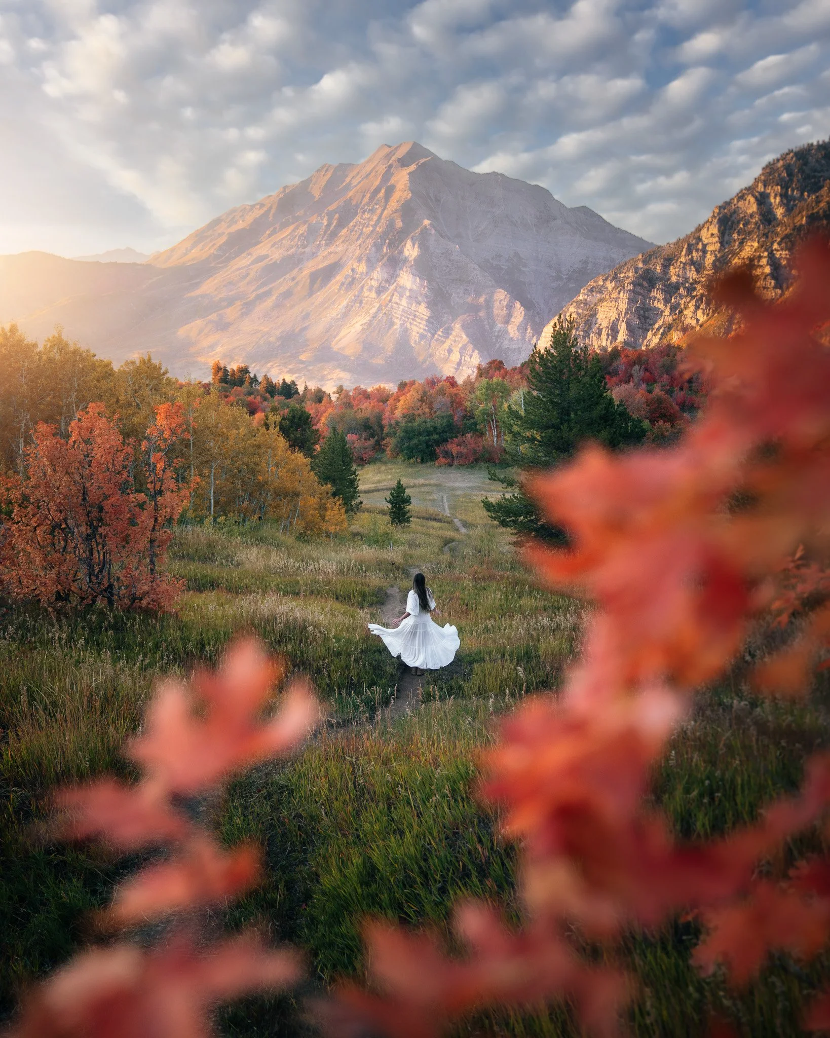 Provo Canyon-Fall22-4x5-3.jpg