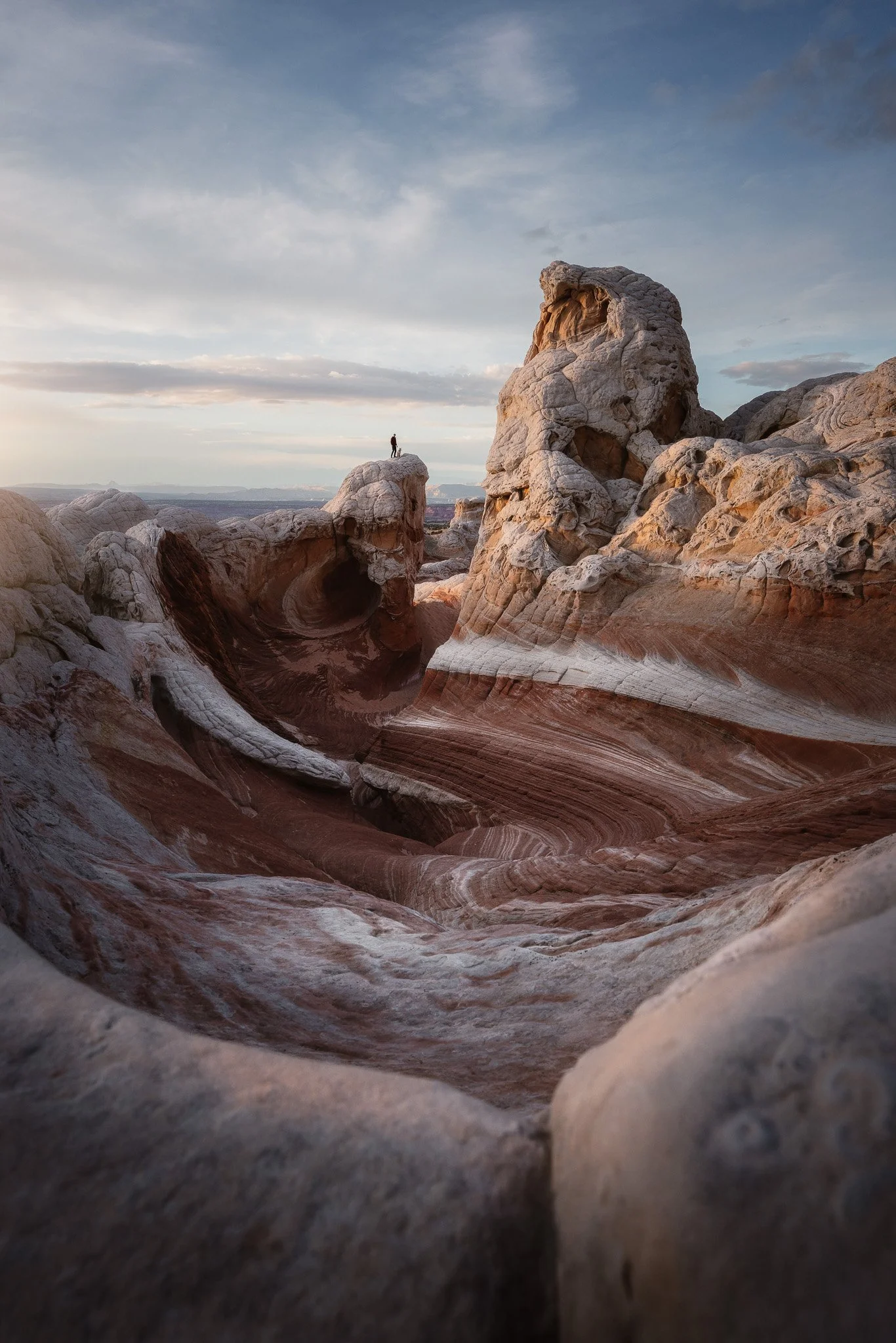 (Sony20)White Pocket-1.jpg