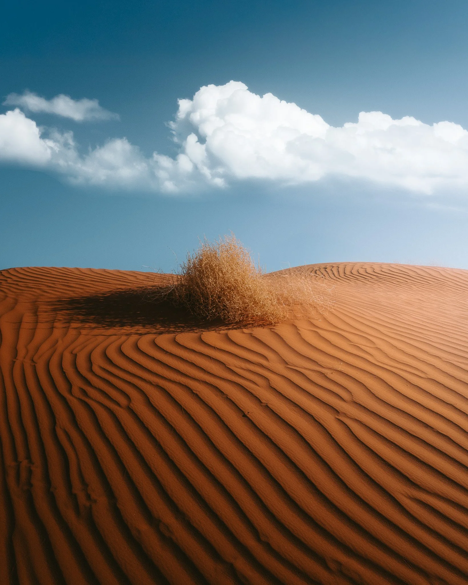 Monument Valley Apr_24-41.jpg