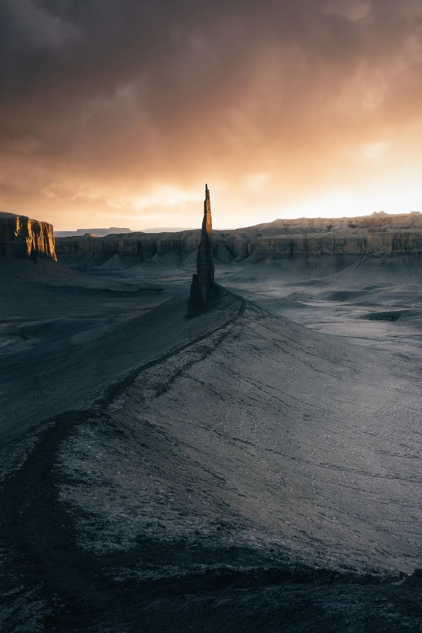 (Sony 20)Long Dong Silver-1.jpg