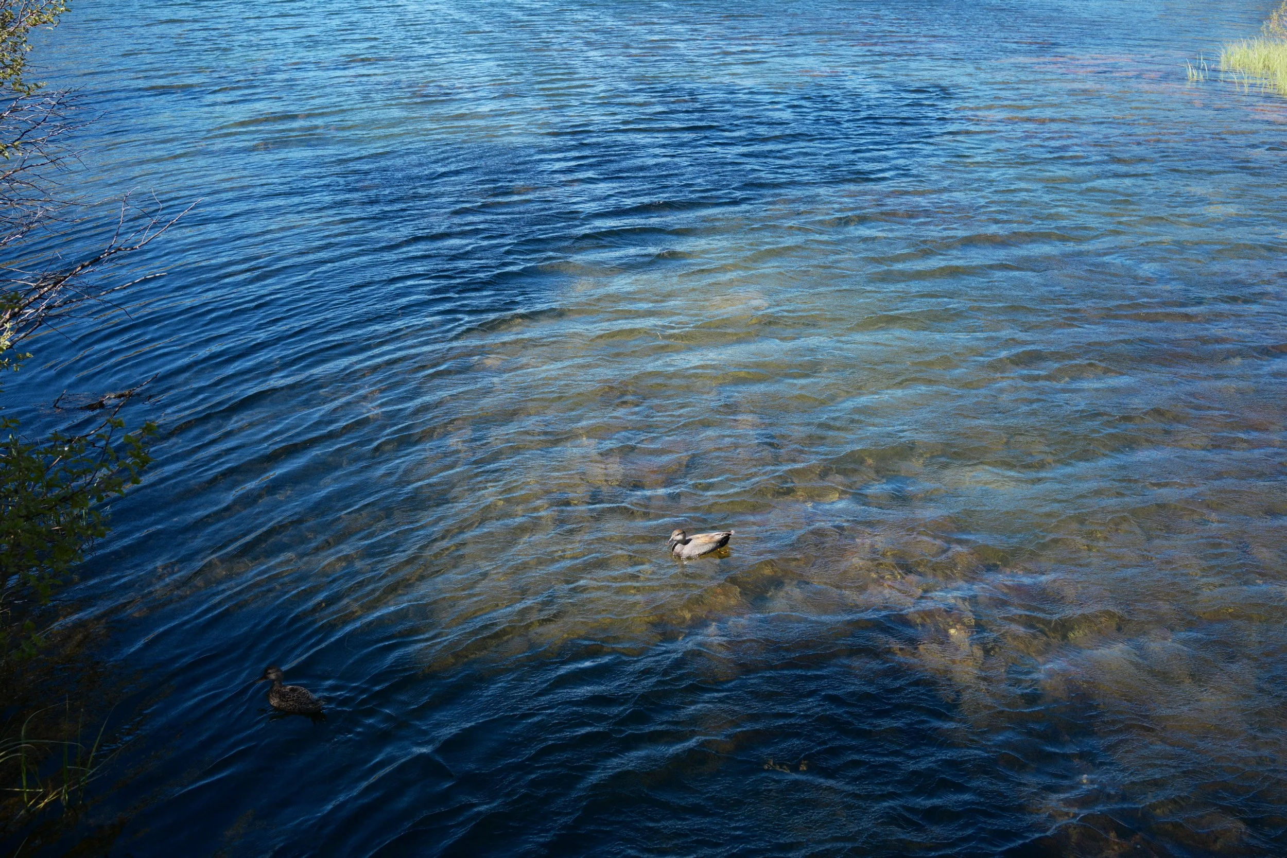 DSC_1309.JPG