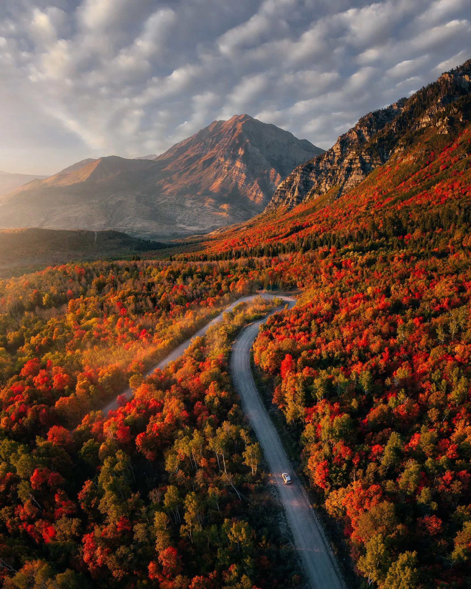 Provo Canyon-Fall22-4x5-1.jpg
