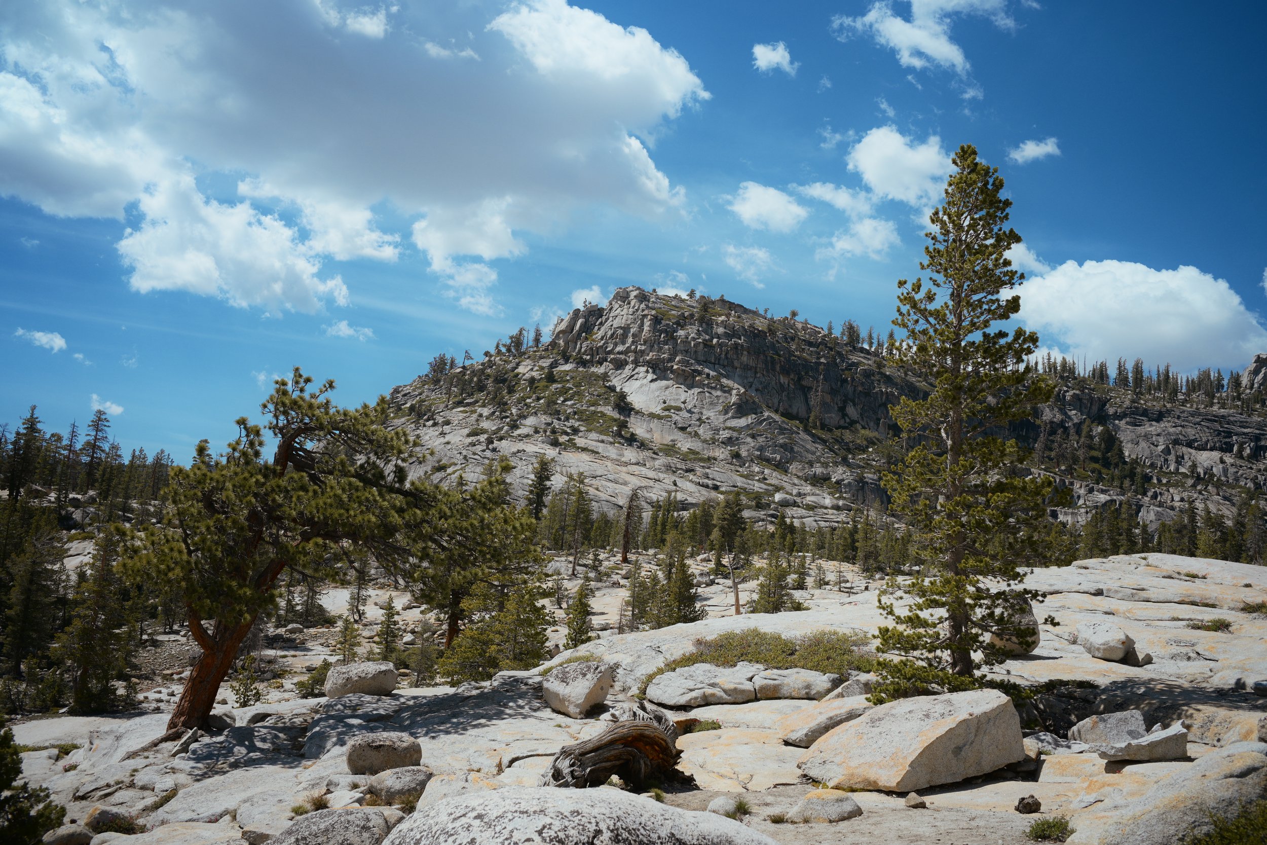 DSC_0196.JPG