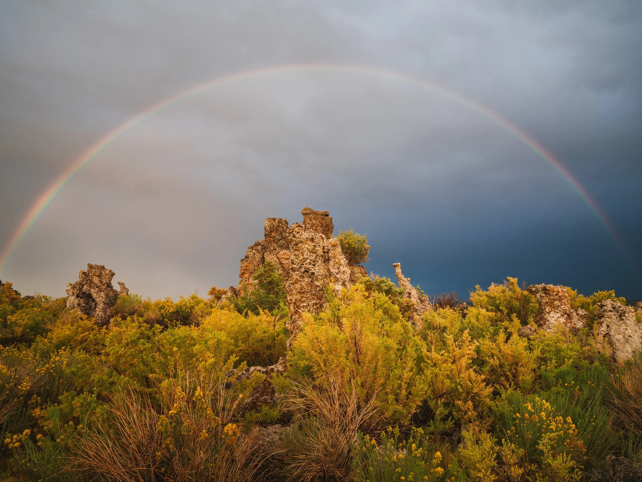 Mono Lake-5.jpg