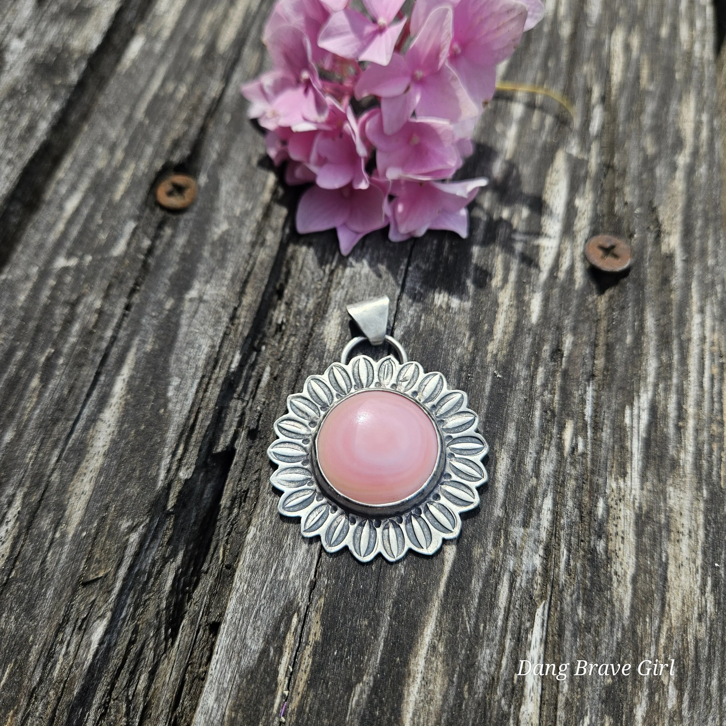 pink conch shell sunflower