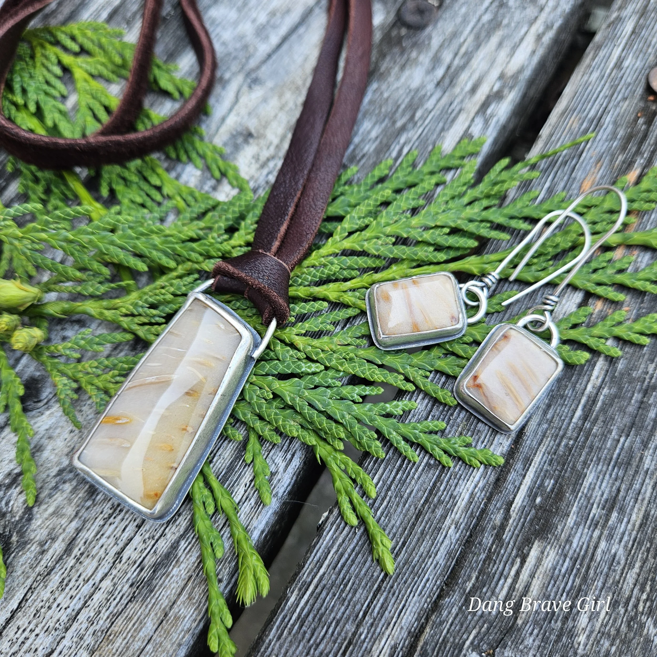 petrified wood jewelry