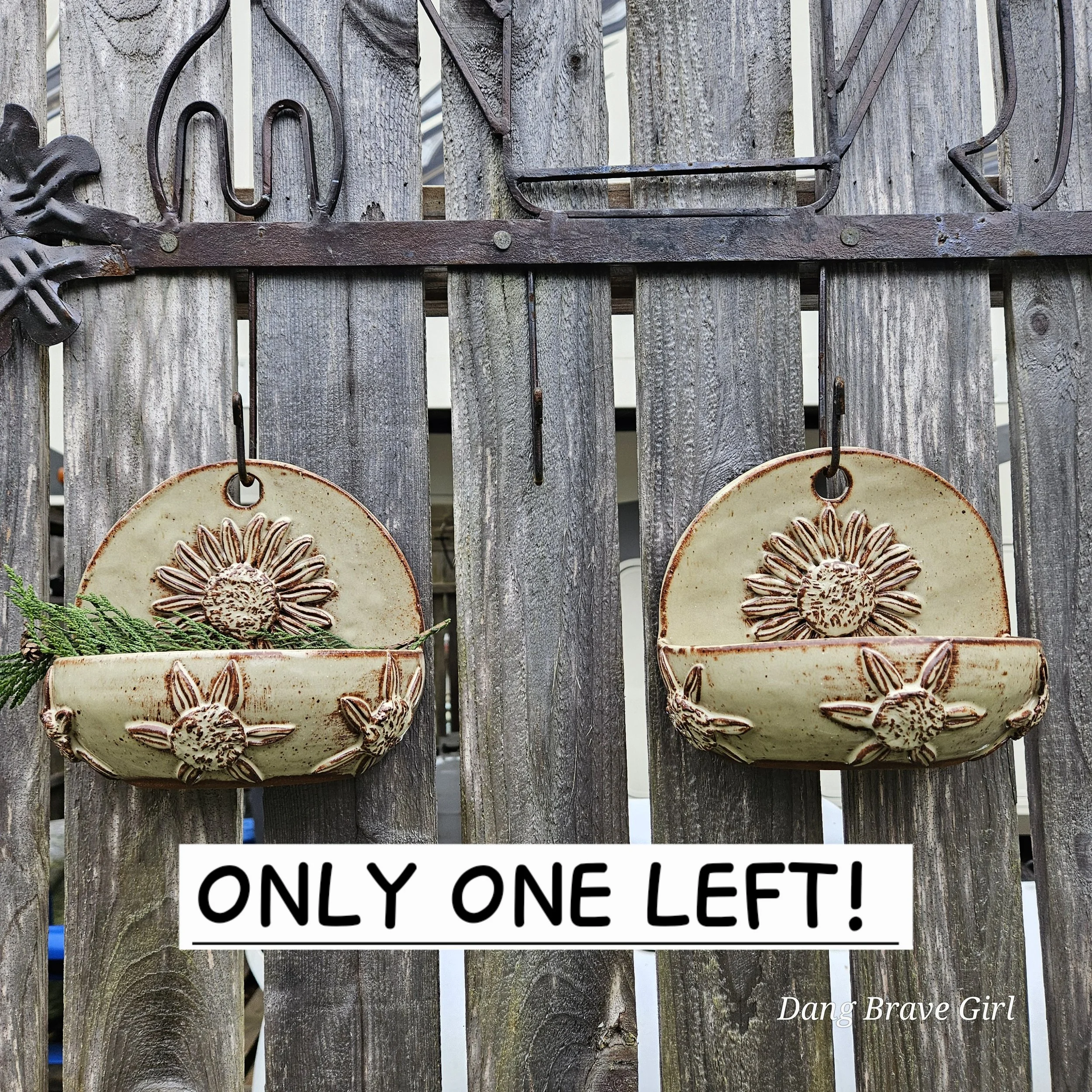 Sunflower Planter/Wall Hanging (sold individually)