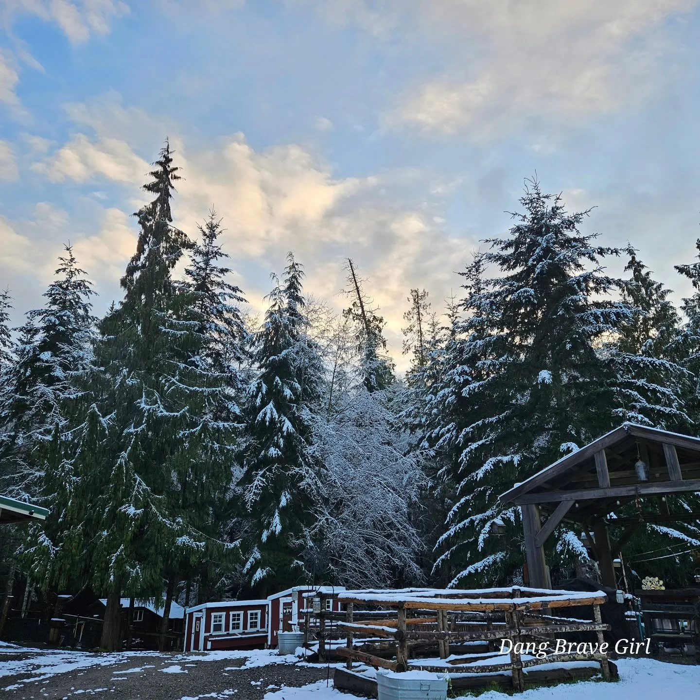 I love where I live 💙

Grateful the little bit of snow stuck around today. The dogs love it! It makes everything look extra magical. 

Tell me where you live and what you love most about it.