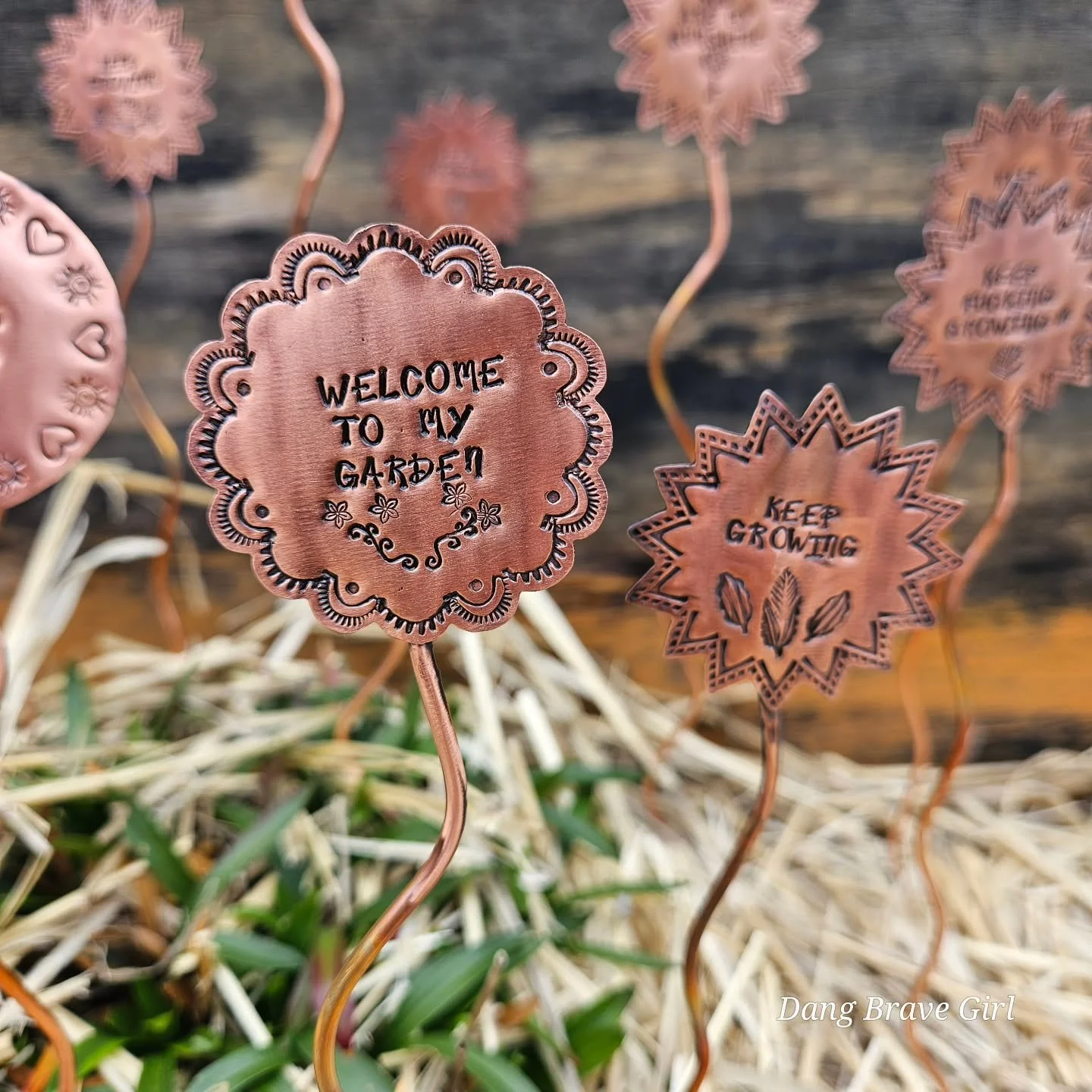 Keep Growing 🌻 

It's been far too long since I made these garden/plant markers! I don't know how I managed to let 4 years go by....I know you all love them and I was going to wait until Mother's Day but if you're like me then you are already in gar