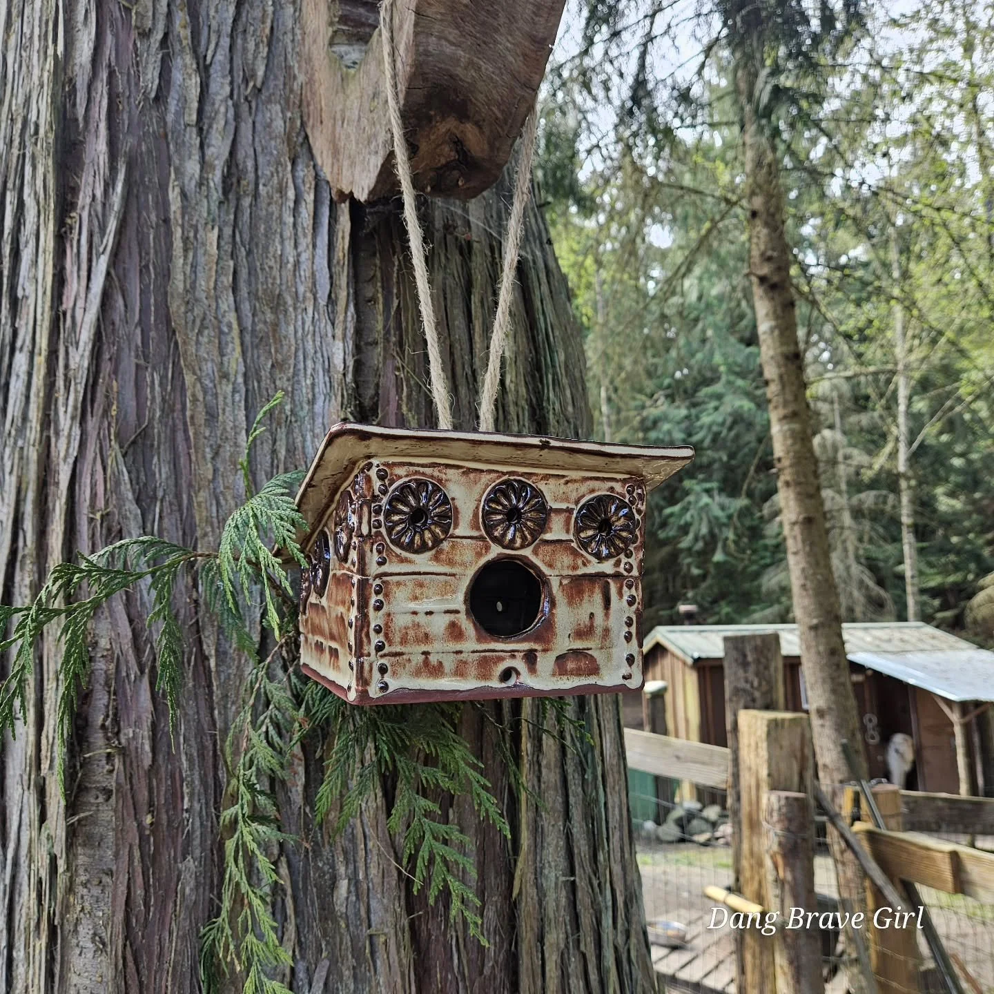 For the birds 🐦....

We've got the sweetest birdhouses for you and your feathered friends. The good news is that the DBH made 2.... the bad news is, the DBH only made 2. Both are completely different, but equally lovable.... I'll show you the other 
