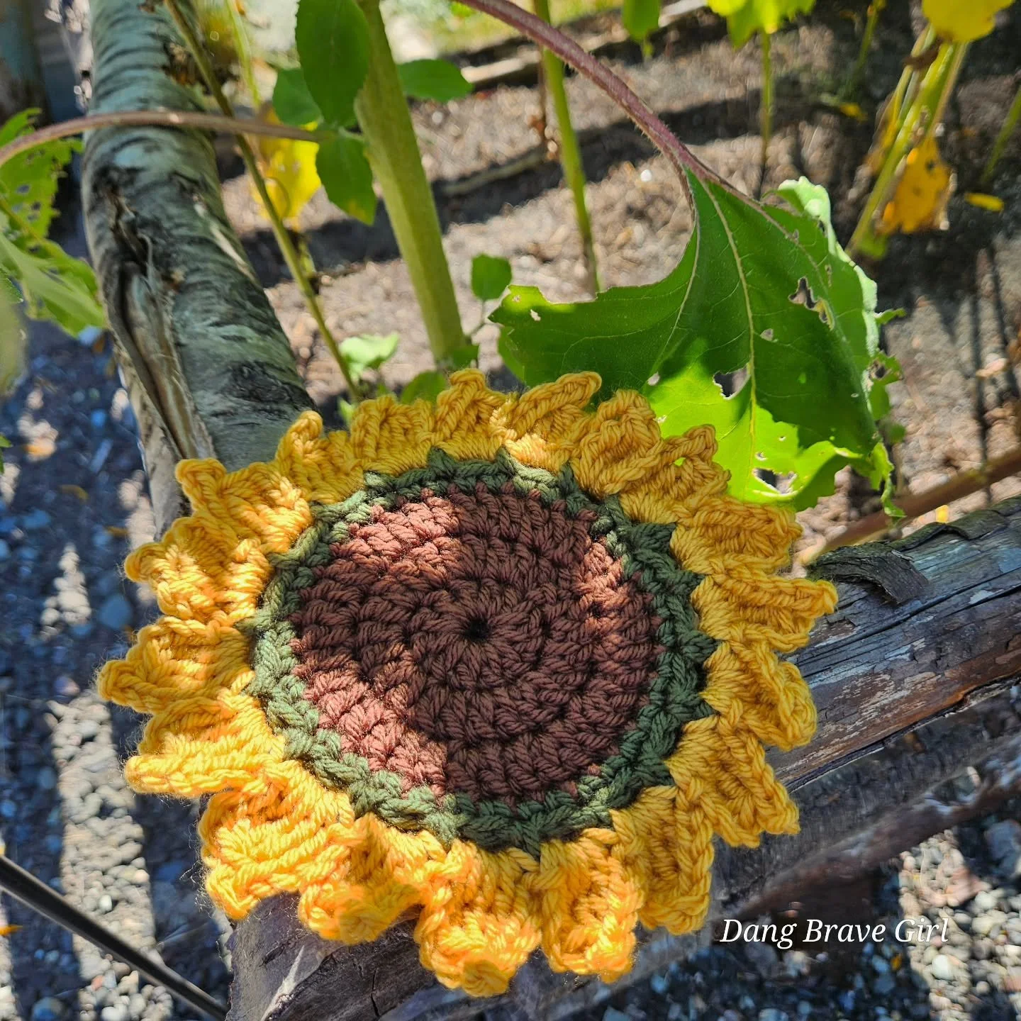 So what do you get when you cross a love for sunflowers, mugs and crocheting? A mug rug of course! 

These are a blast to make and there was never any doubt they would make an appearance in my Sunflower Collection 🌻. 

I've got 4 ready for ya tomorr