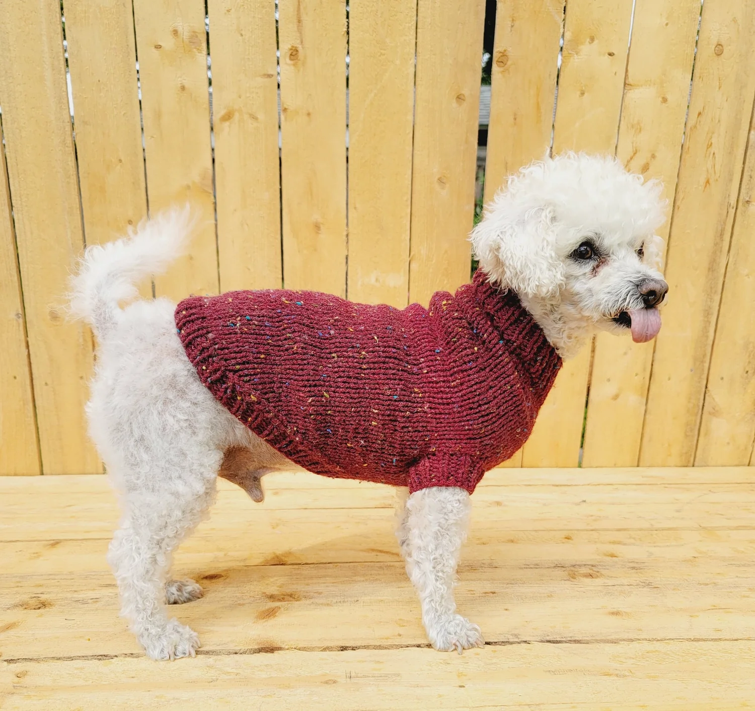 Burgundy Dog Sweater  j'adore pets - handcrafted in indiana
