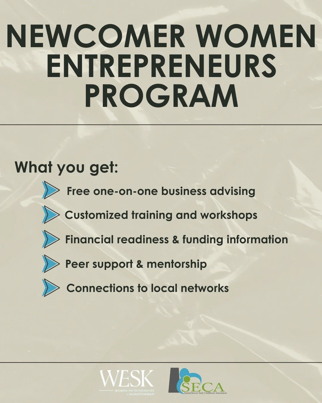 Newcomer Women Entrepreneur Program