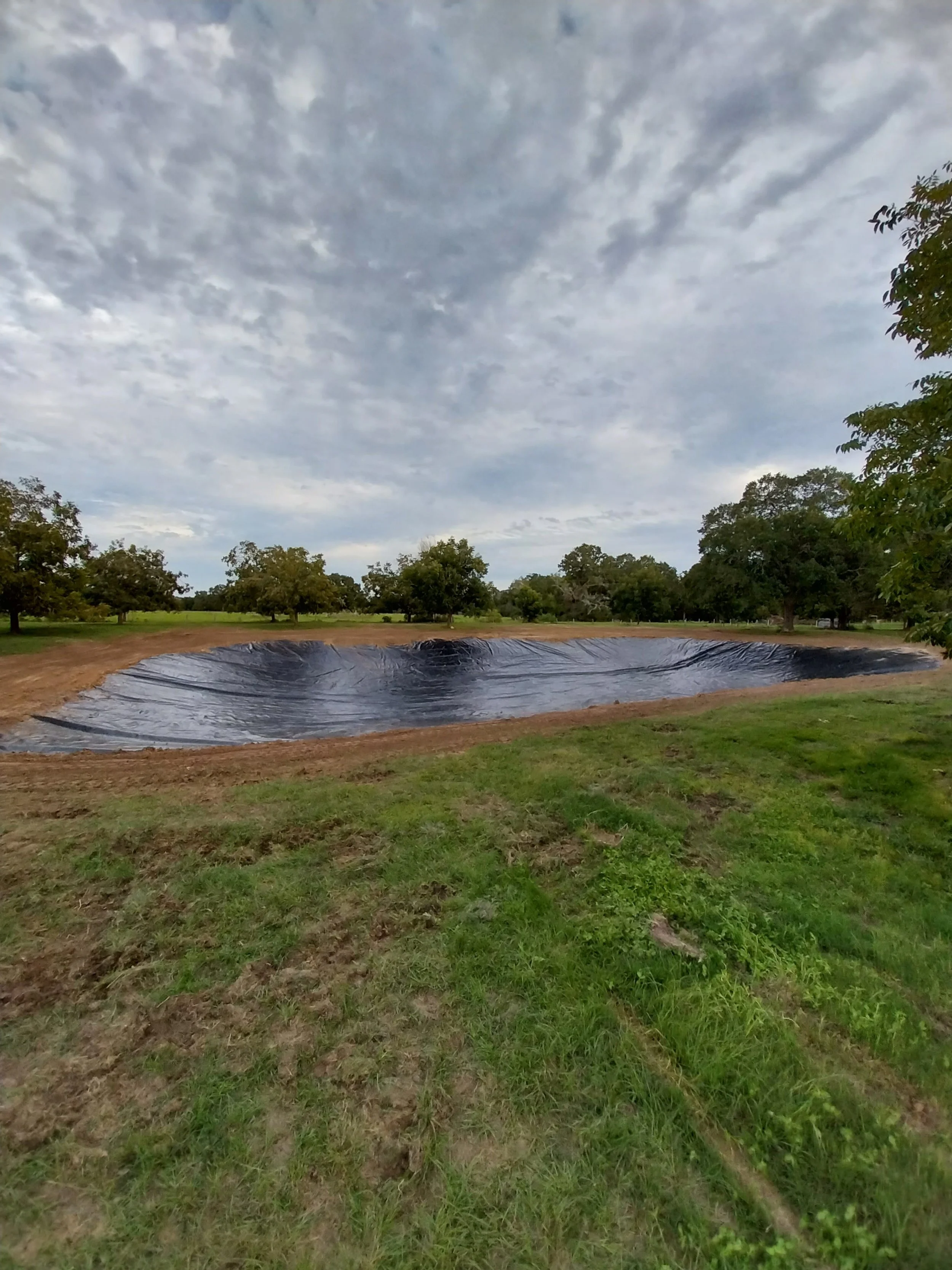 Pond with plastic liner