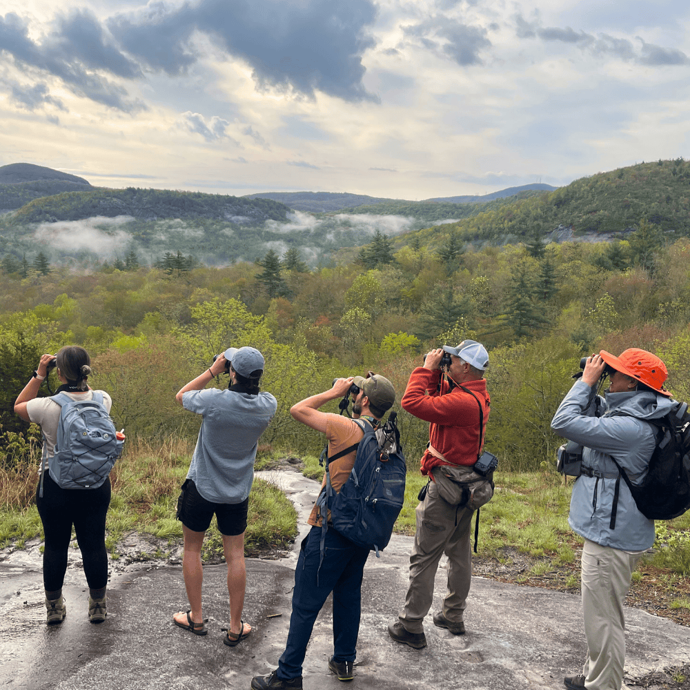 Private Guide Services — Wild Remembering