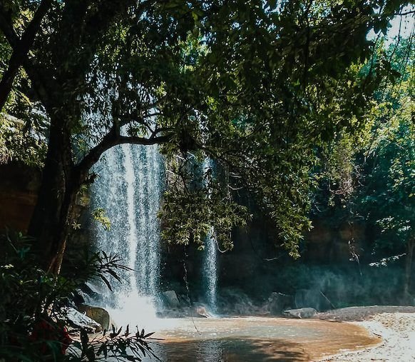 Shimba Hills Game Drive