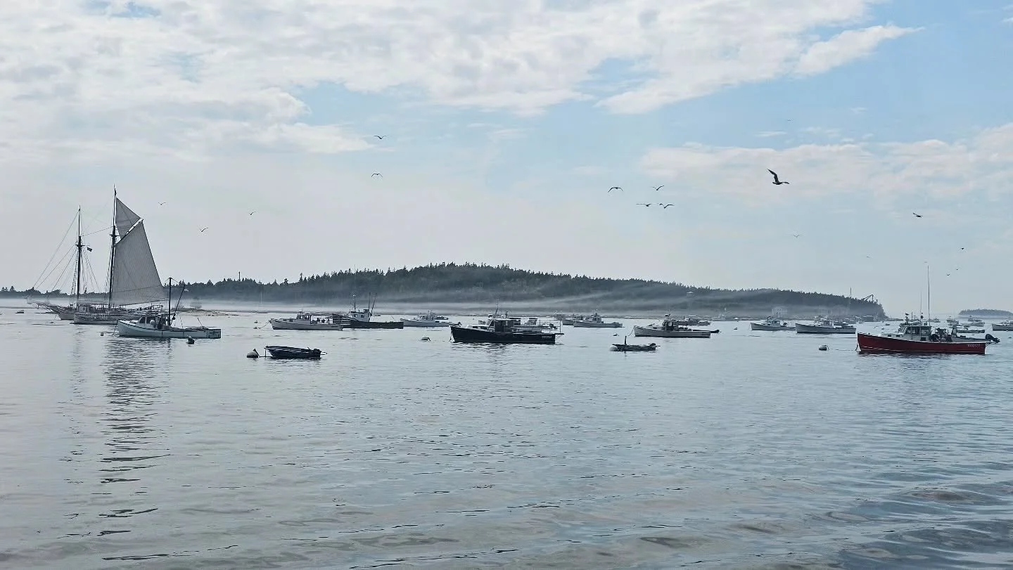 Last bit of fog disappearing on an otherwise spectacular paddle week.