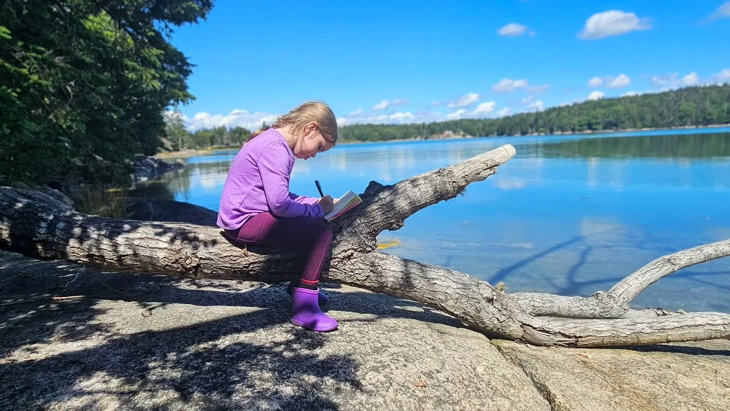 Nature journaling/sketching is a great to get in tune with nature while you are out in it.